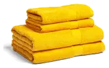 Lejon