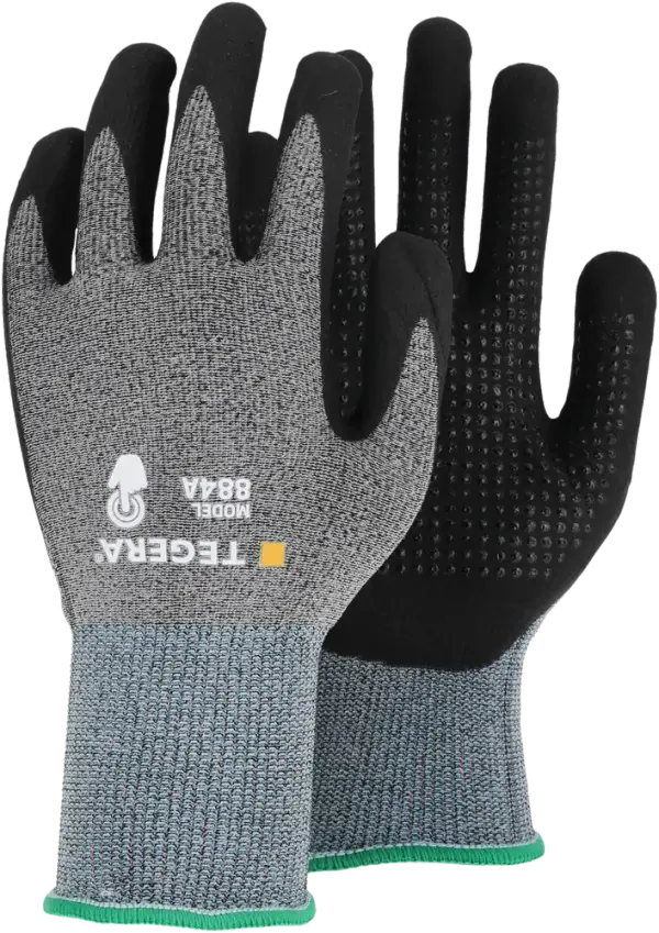 TEGERA 884A